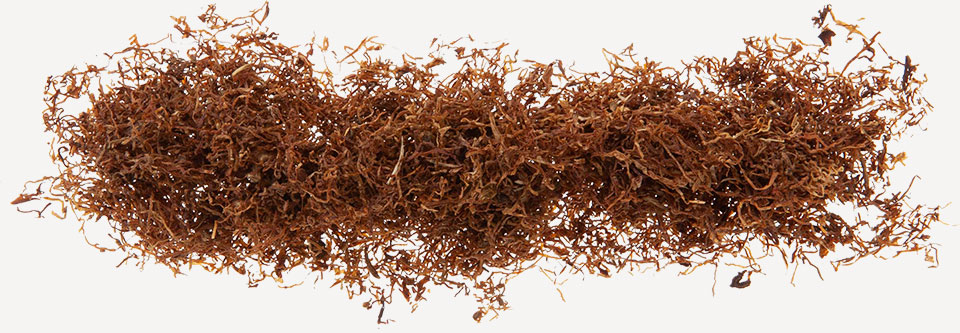 what is blond tobacco Amsterdamer Blond