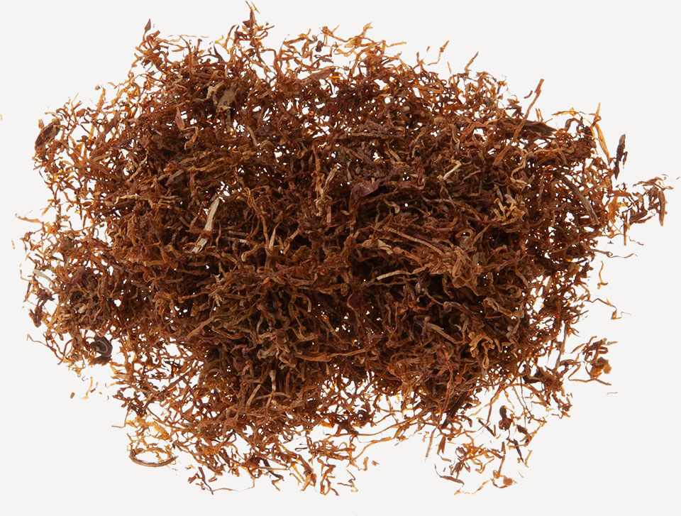 tobacco blond Amsterdamer Blond